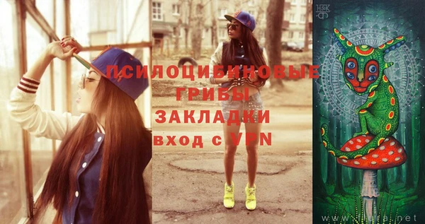 PSILOCYBIN Белоозёрский