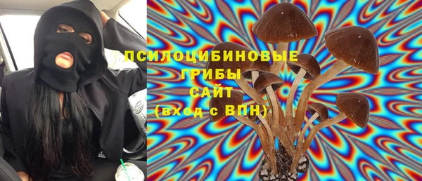 PSILOCYBIN Белоозёрский