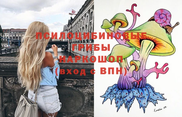 шишки Коряжма