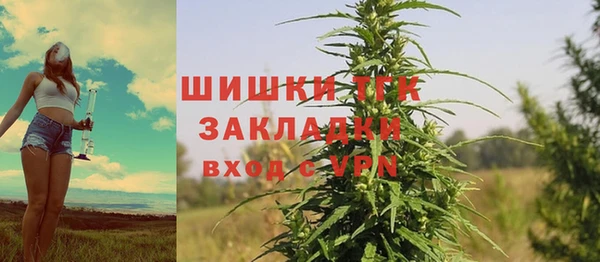PSILOCYBIN Белоозёрский
